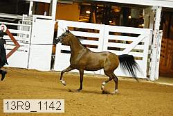 13r9_1142 proof