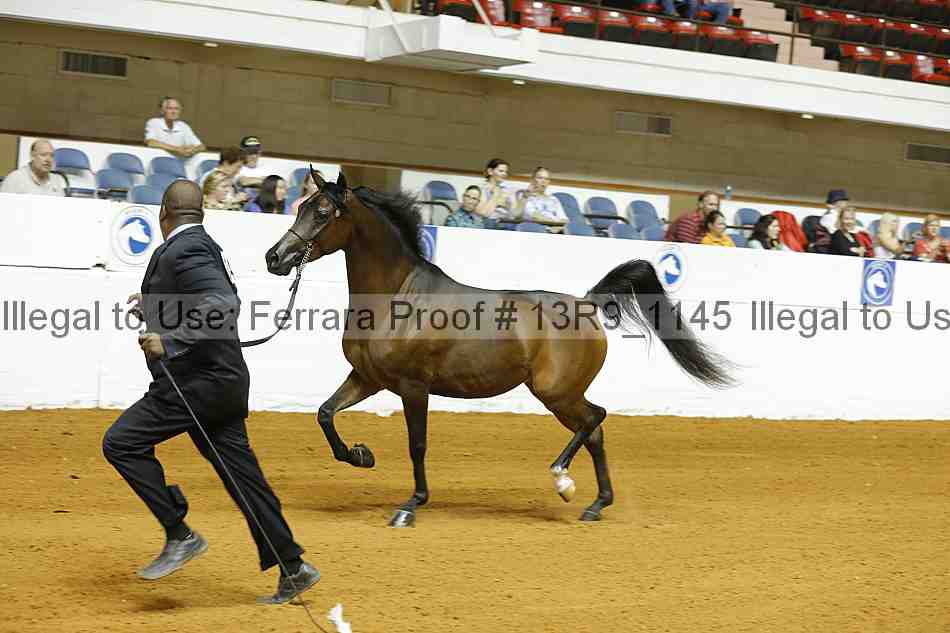 Proof 13r9_1145