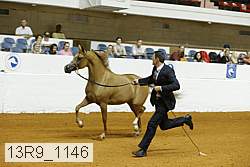 13r9_1146 proof
