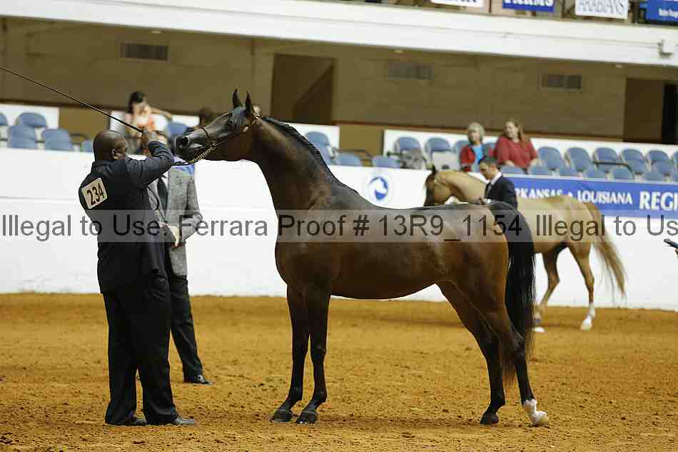 Proof 13r9_1154