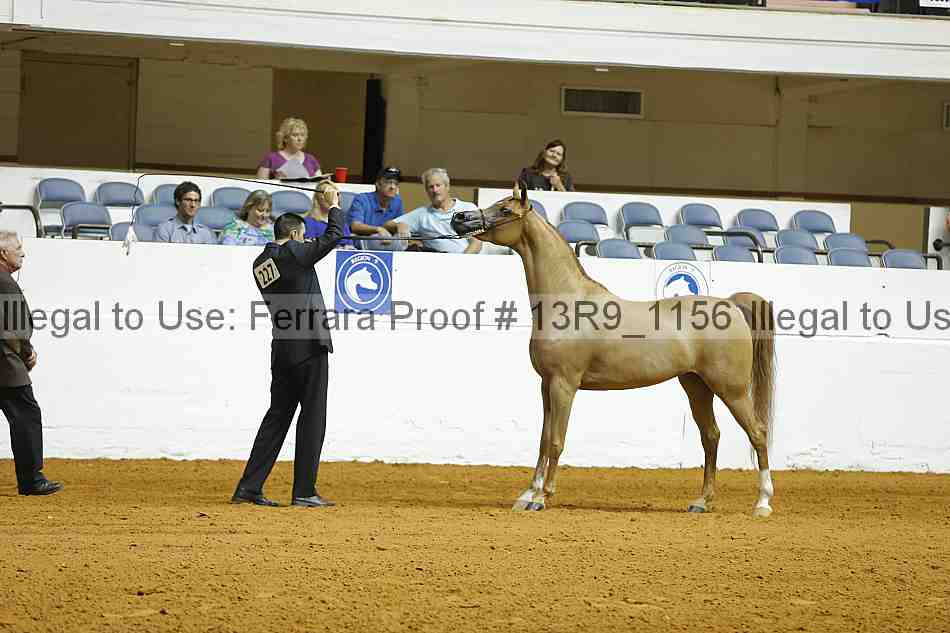 Proof 13r9_1156