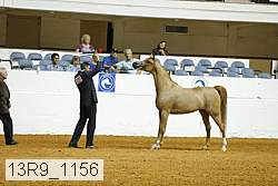 13r9_1156 proof