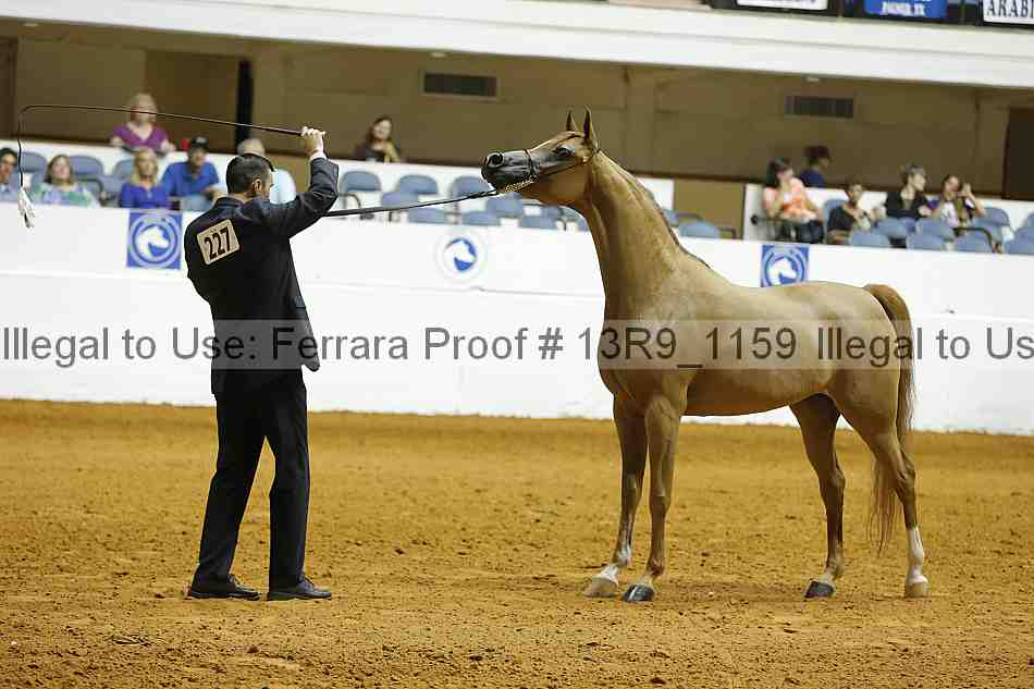 Proof 13r9_1159