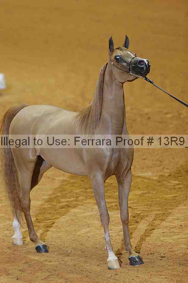 Proof 13r9_1160