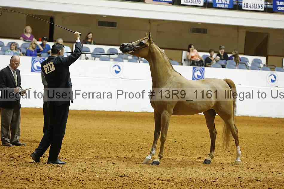Proof 13r9_1161