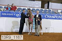 13r9_1167 proof
