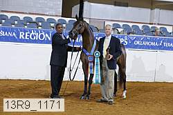 13r9_1171 proof