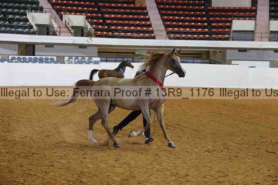 Proof 13r9_1176
