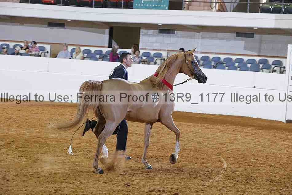 Proof 13r9_1177