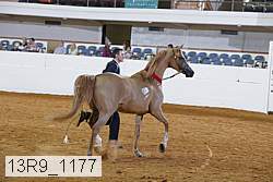 13r9_1177 proof