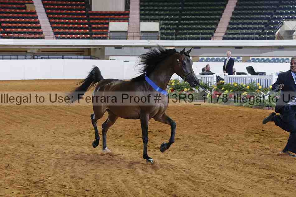 Proof 13r9_1178