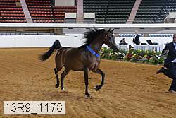 13r9_1178 proof