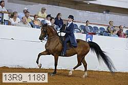 13r9_1189 proof