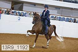 13r9_1192 proof