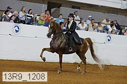 13r9_1208 proof