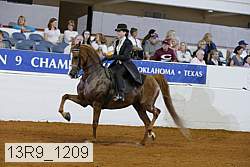 13r9_1209 proof