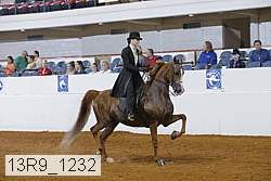 13r9_1232 proof