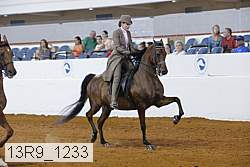 13r9_1233 proof
