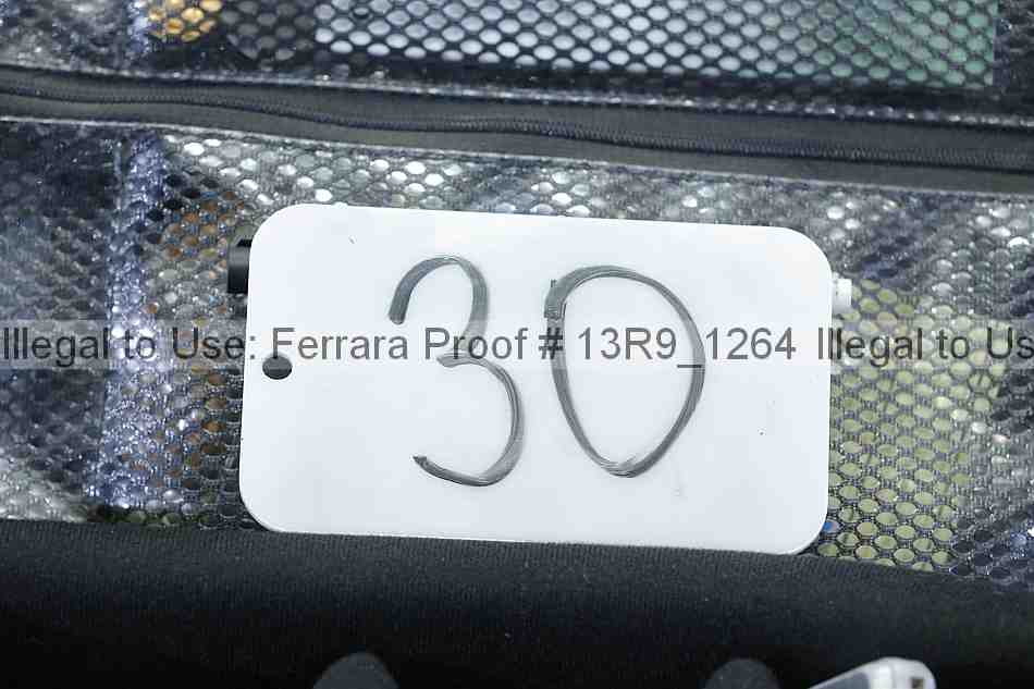 Proof 13r9_1264