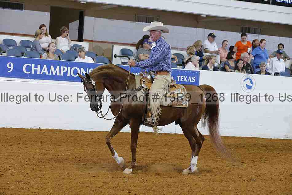 Proof 13r9_1268