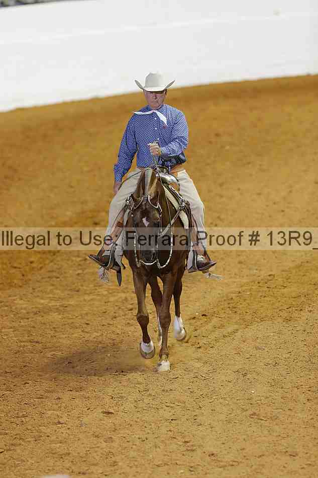 Proof 13r9_1271