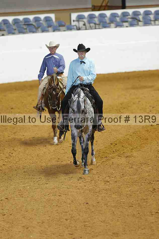 Proof 13r9_1285