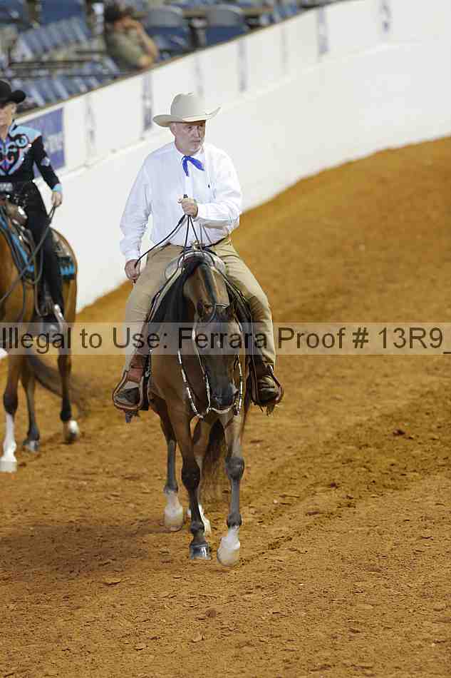 Proof 13r9_1286