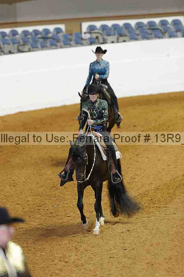 Proof 13r9_1289