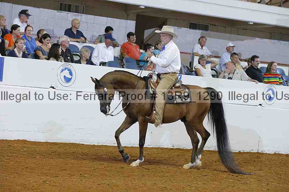Proof 13r9_1290