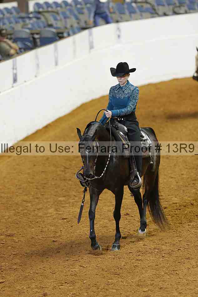 Proof 13r9_1291
