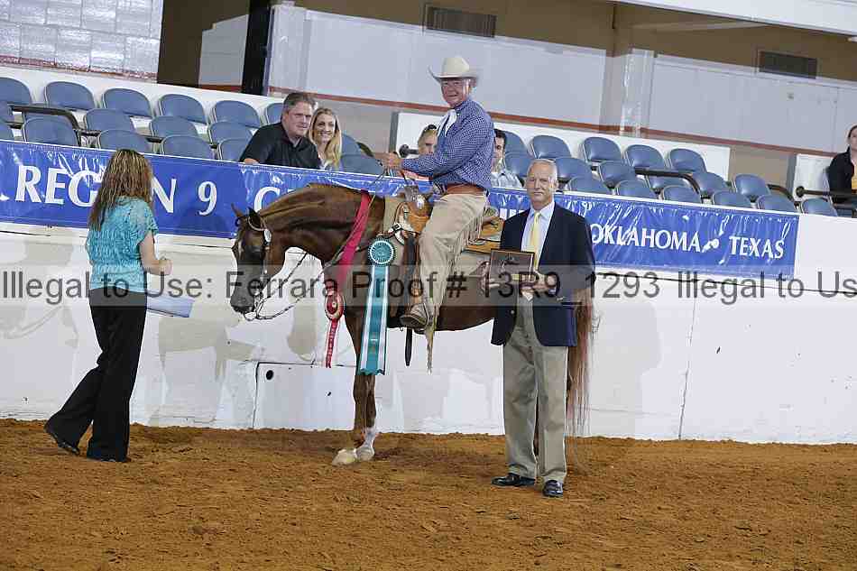 Proof 13r9_1293