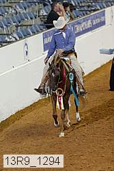 13r9_1294 proof