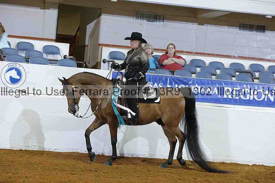 Proof 13r9_1302