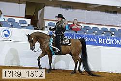 13r9_1302 proof