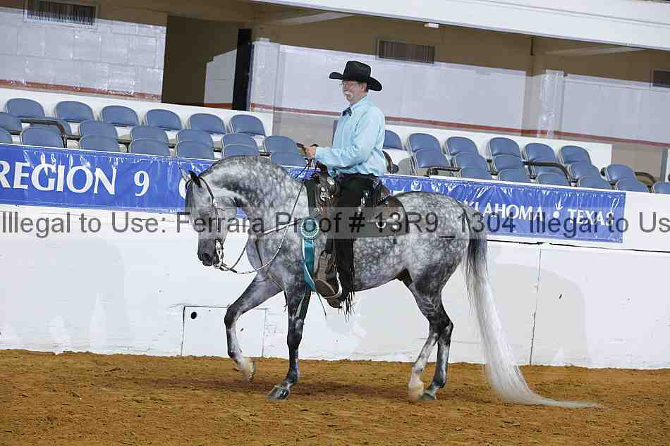 Proof 13r9_1304