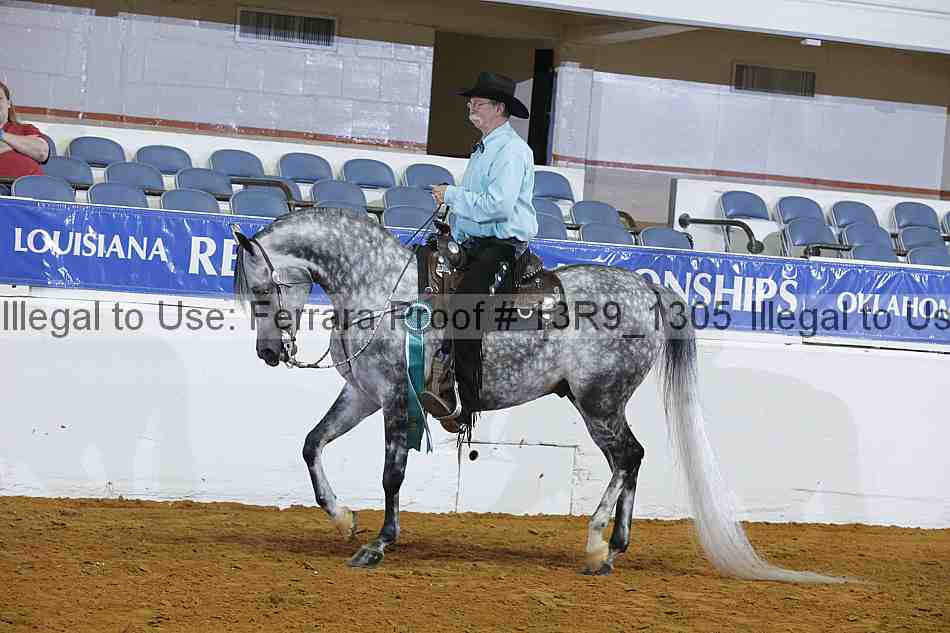 Proof 13r9_1305