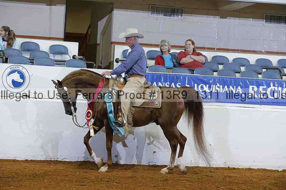 Proof 13r9_1311