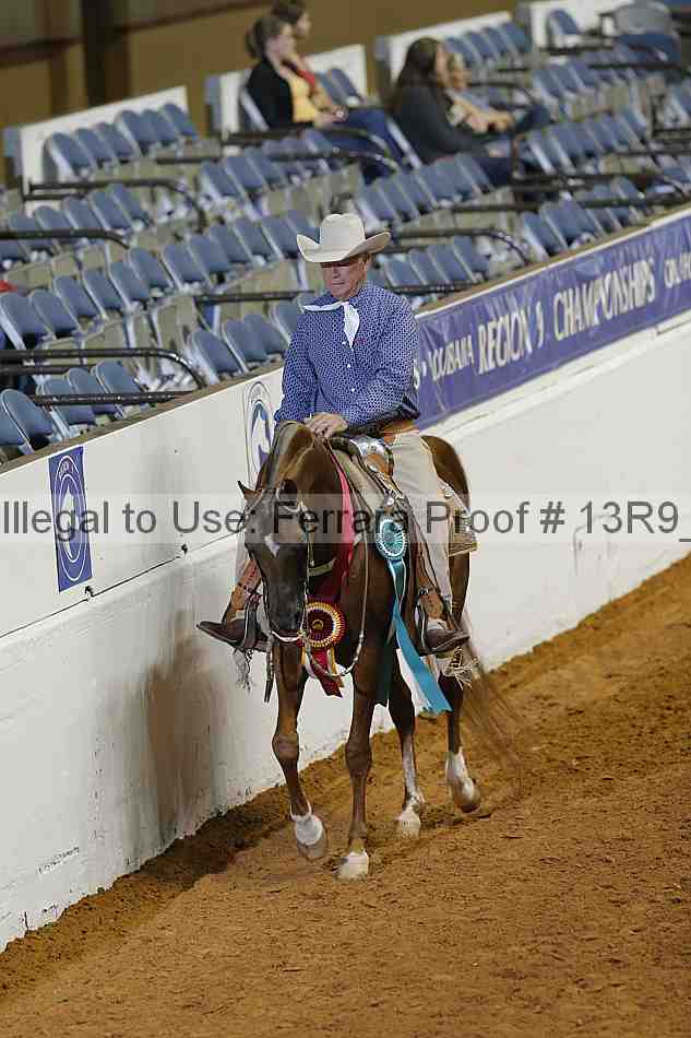 Proof 13r9_1316