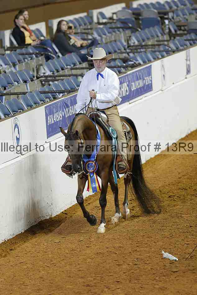 Proof 13r9_1317