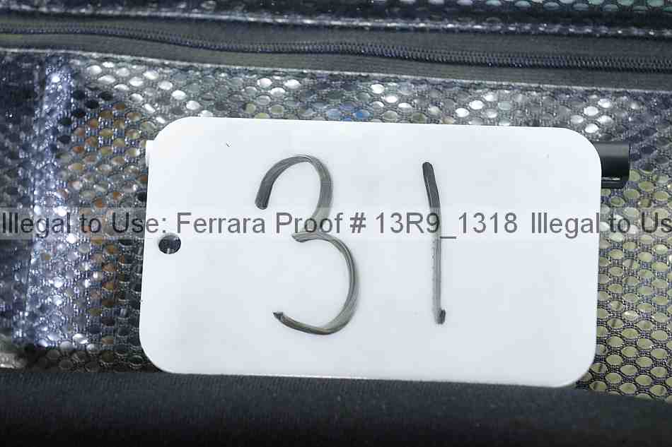 Proof 13r9_1318