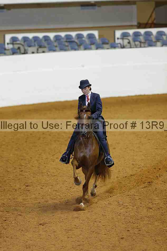 Proof 13r9_1324