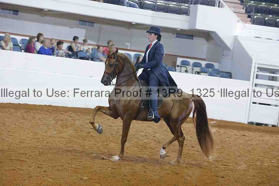 Proof 13r9_1325
