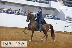 13r9_1325 proof