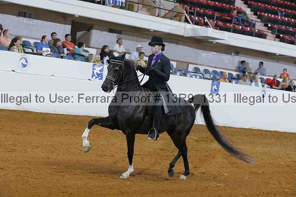 Proof 13r9_1331