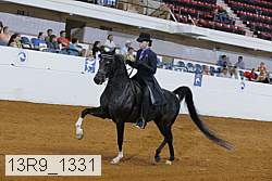 13r9_1331 proof