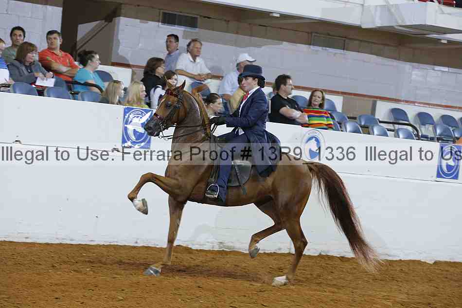 Proof 13r9_1336