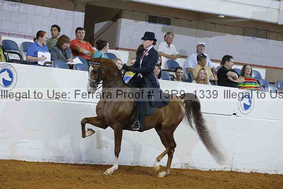 Proof 13r9_1339