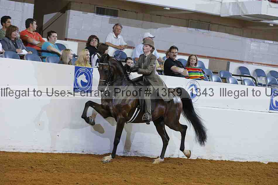 Proof 13r9_1343