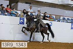 13r9_1343 proof