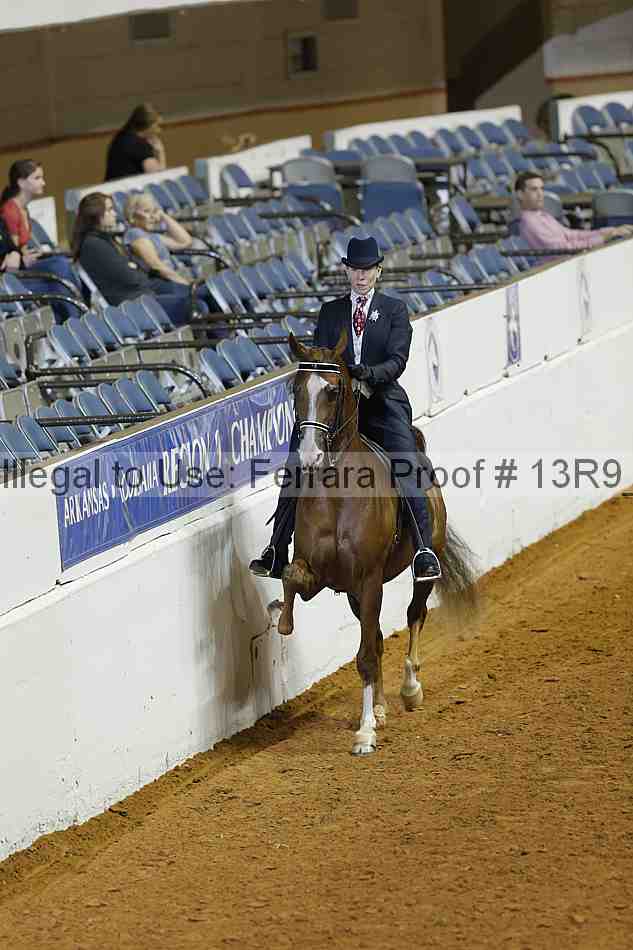Proof 13r9_1349